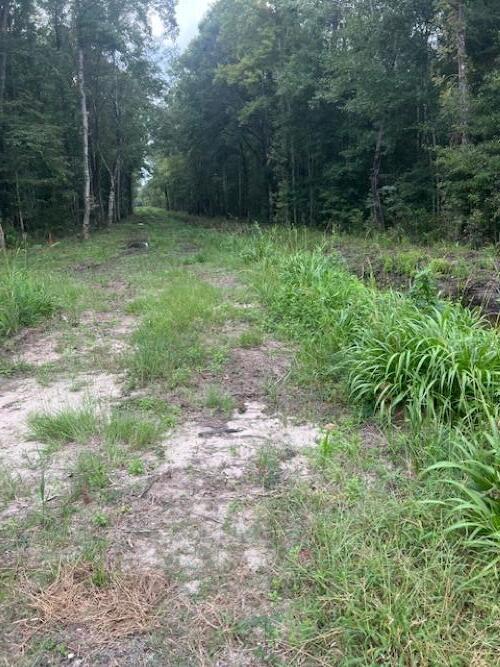 Image 3: 6572 N Hwy 17 Awendaw (3)