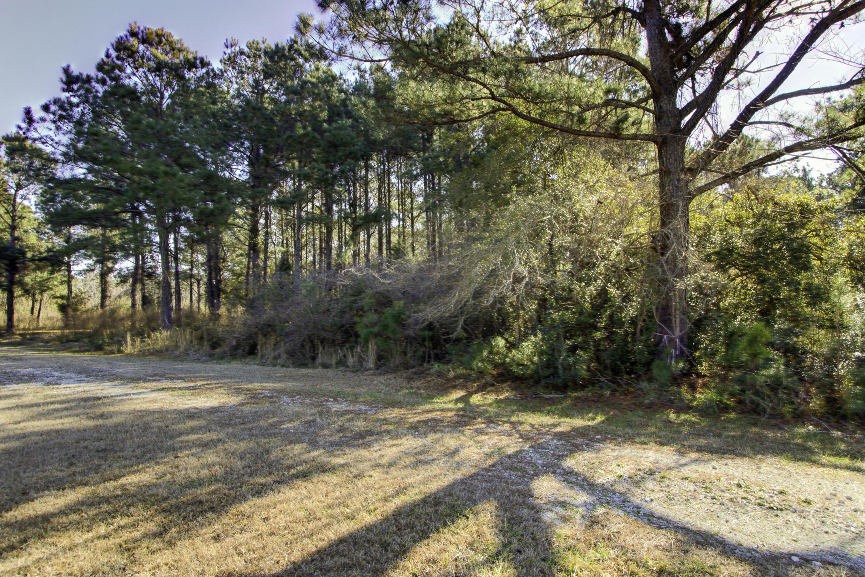 Image 3: Morants Point Lot 4, Morants Point SC (2
