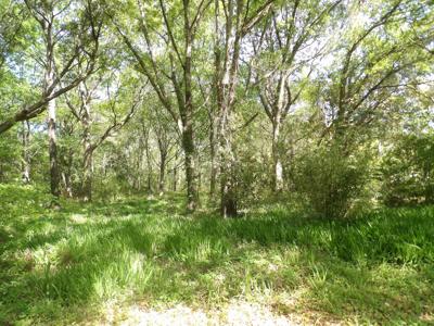 1558 Scott Hill Road
