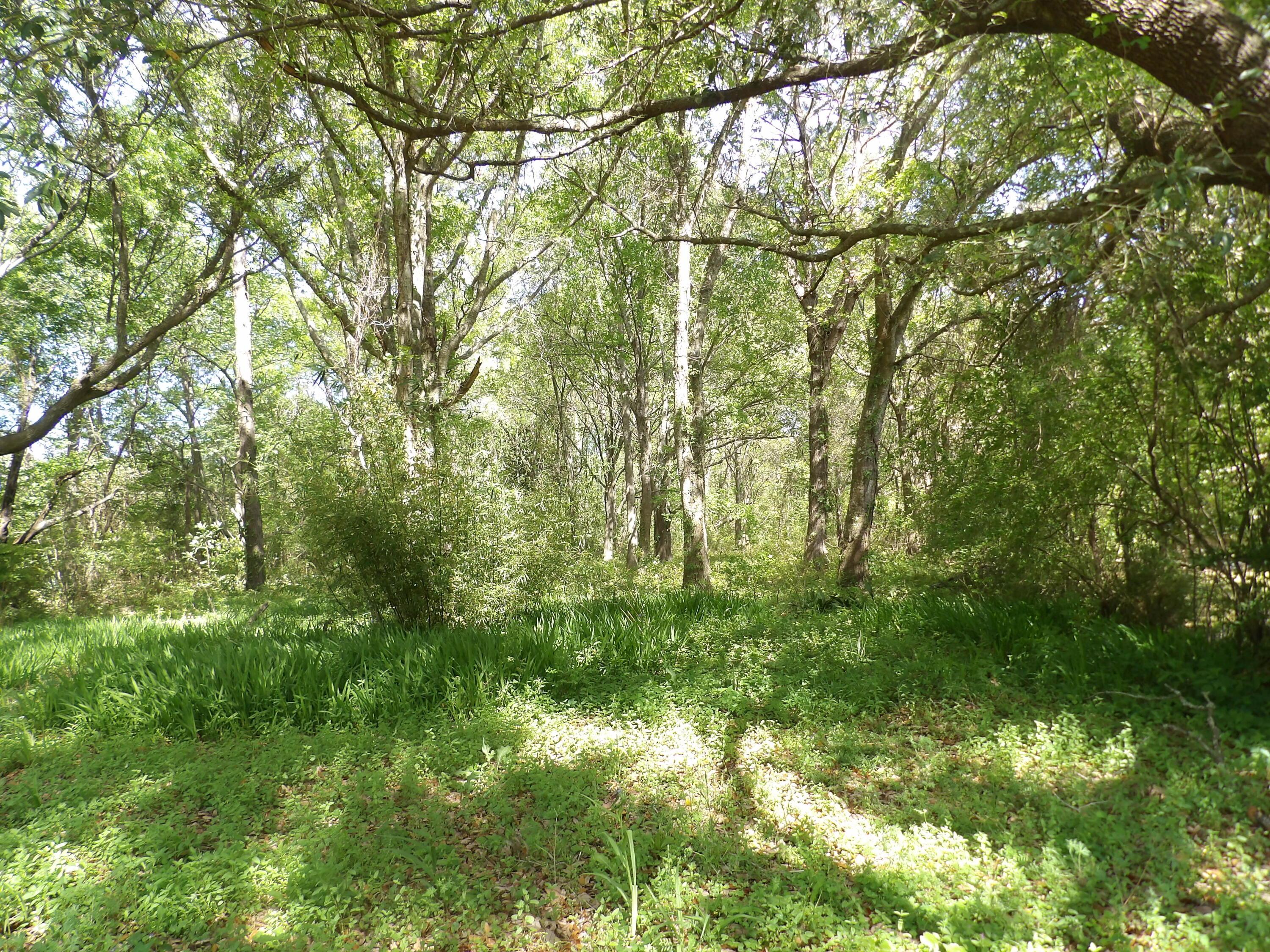 Image 2: 101_0174
