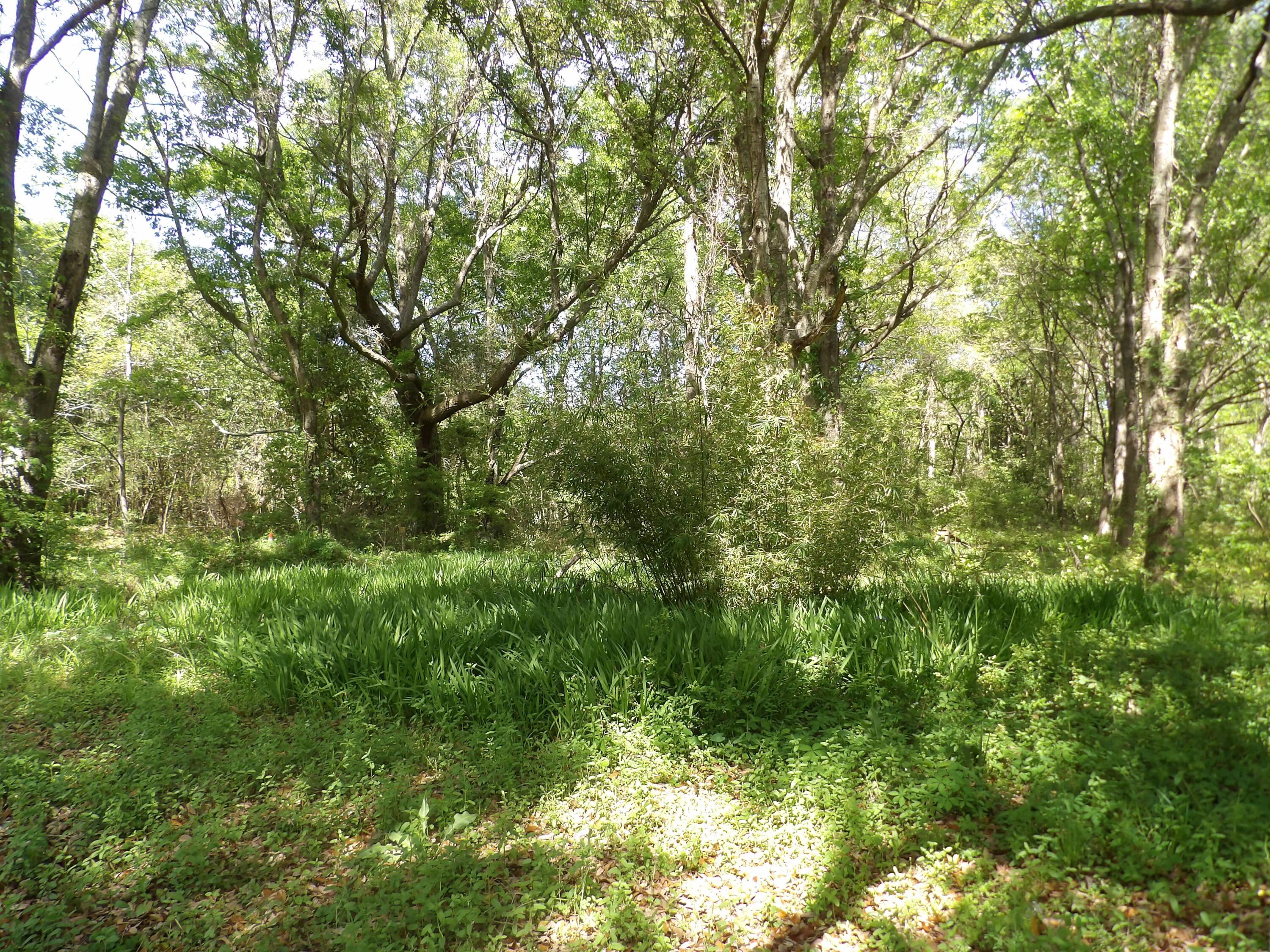 Image 3: 101_0175