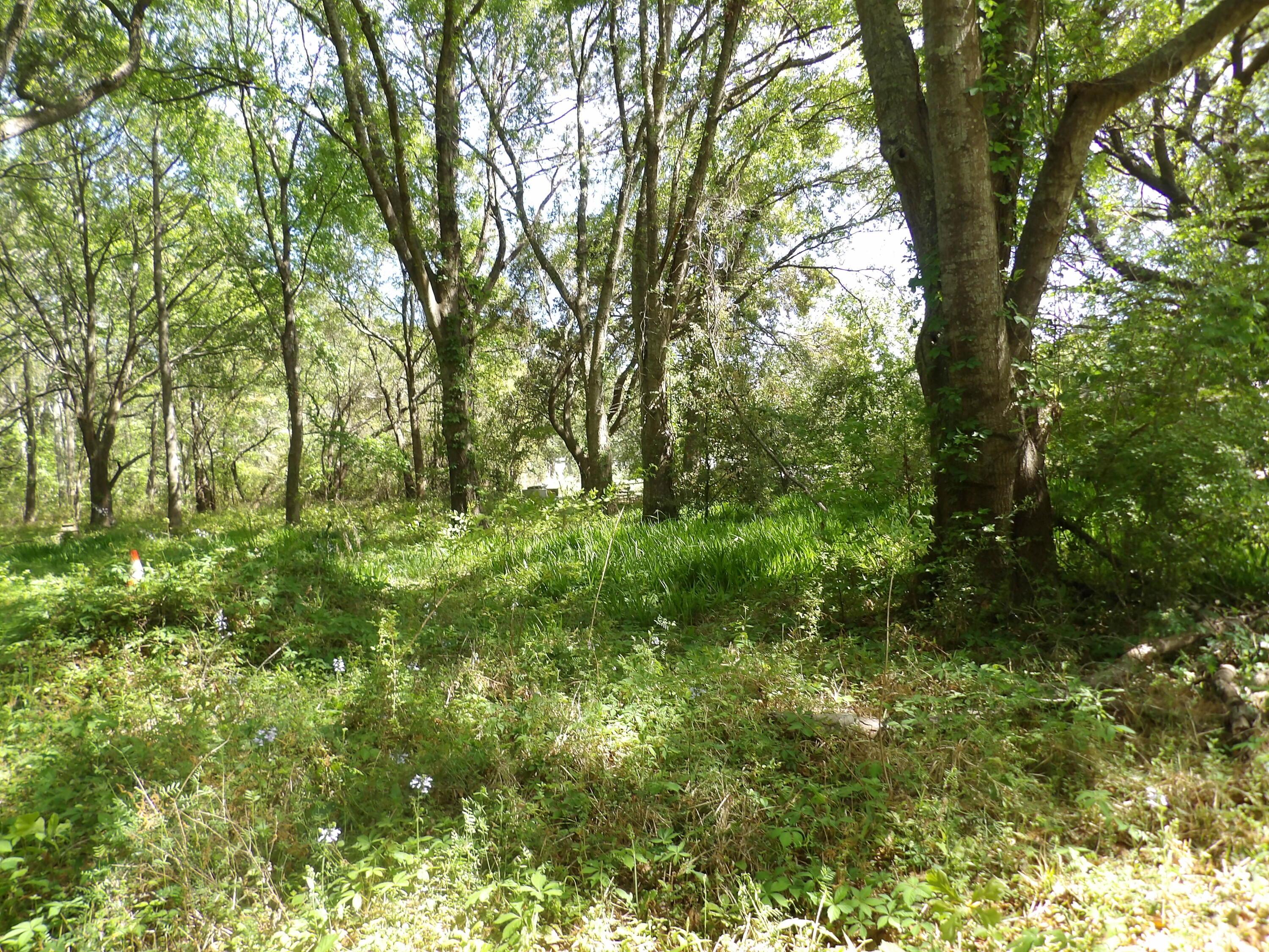 Image 4: 101_0176