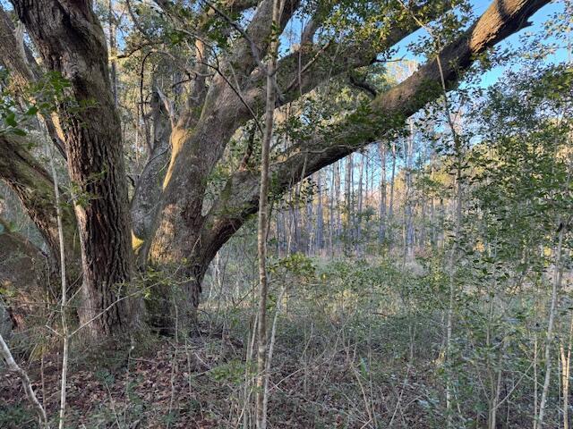 Image 3: IMG_4573