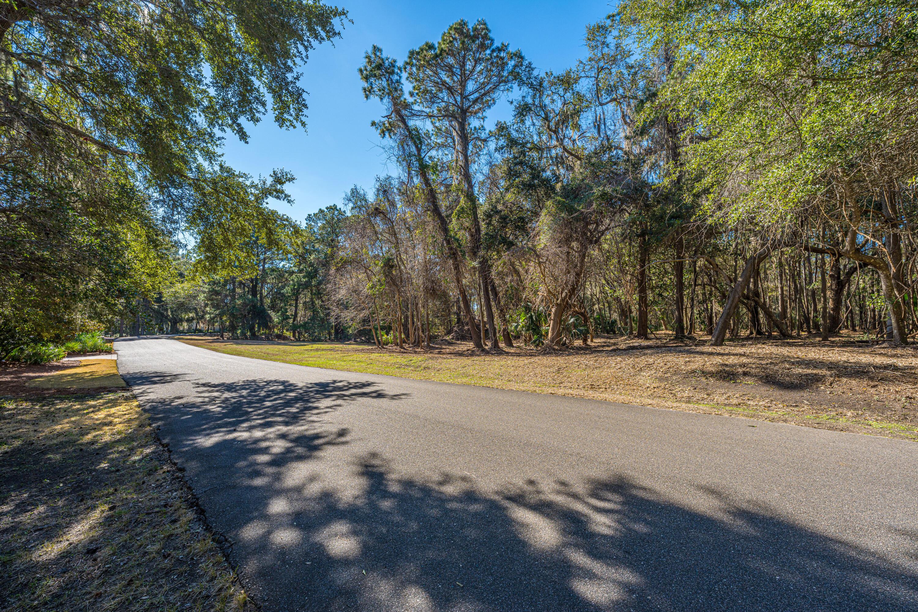 Image 2: 4066GnarledOaksLn_Lot 65_001