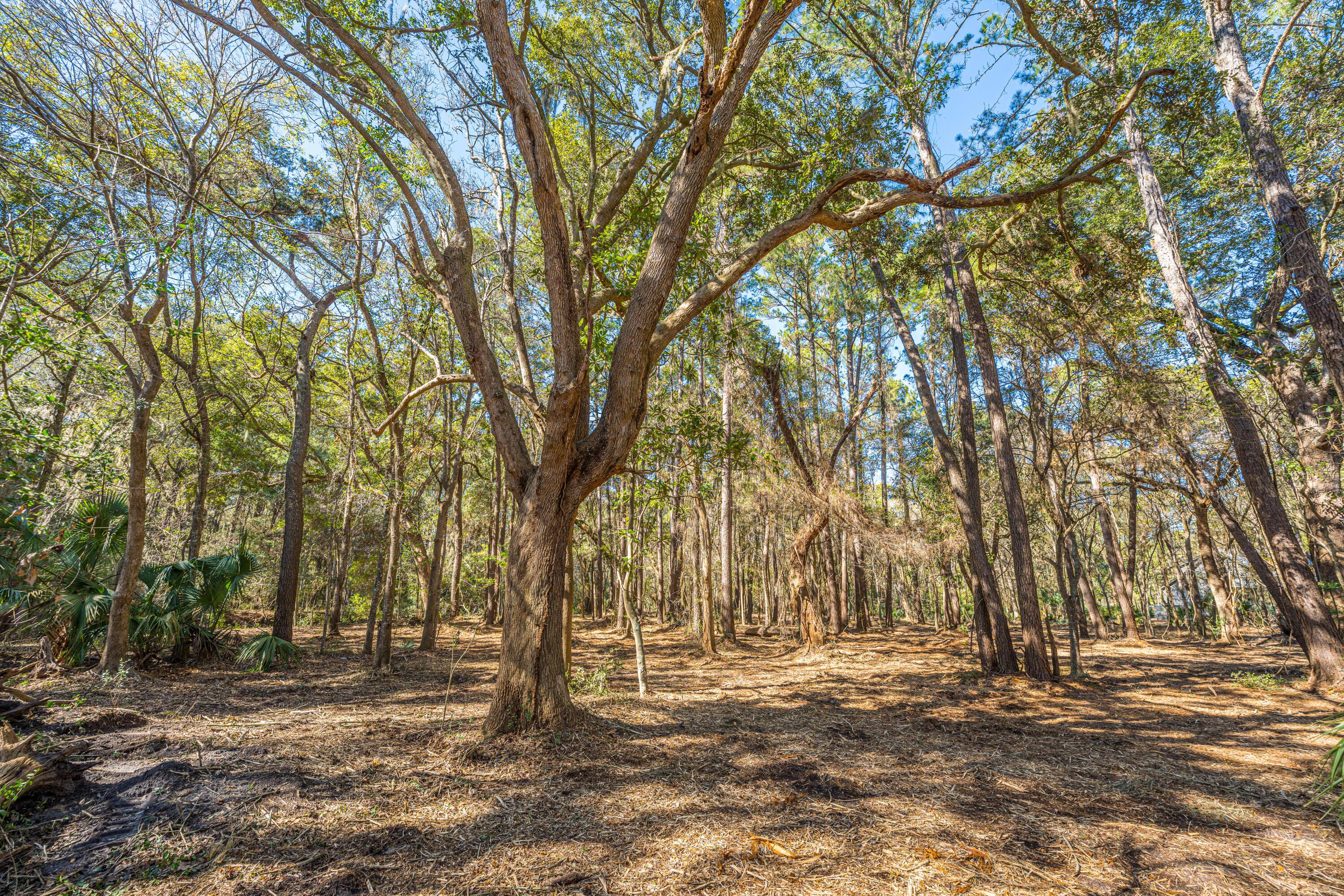 Image 3: 4066GnarledOaksLn_Lot 65_002