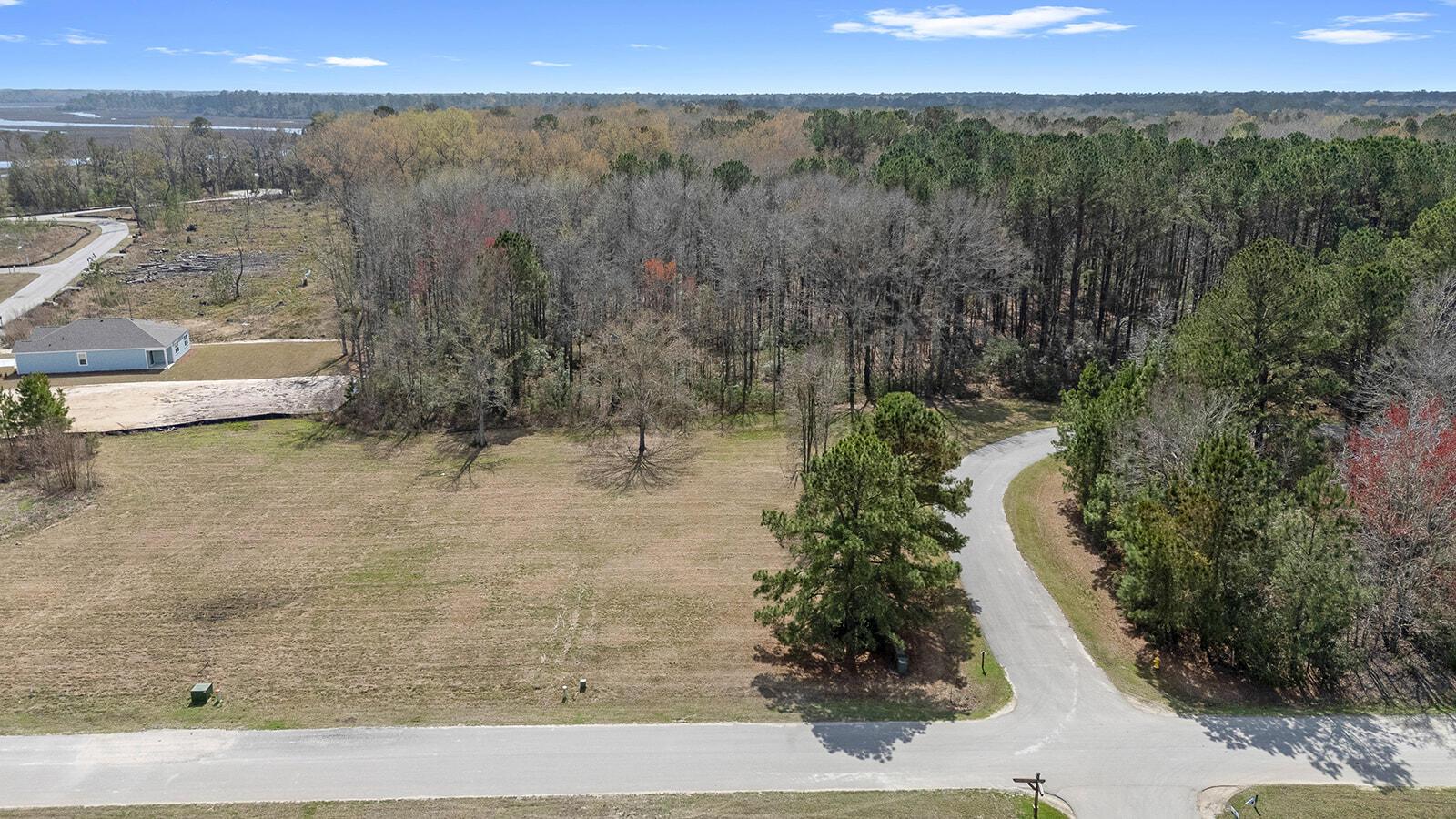 Image 4: DJI_20260306122934_0012_D (1)