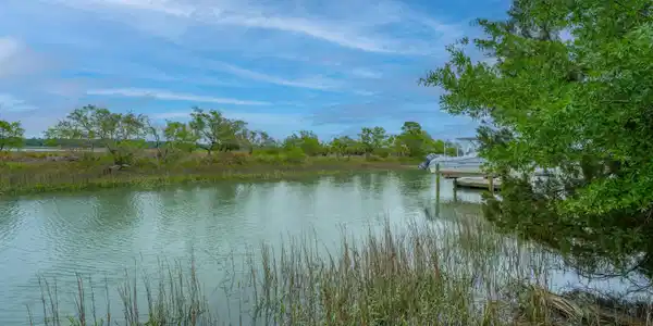 Image 4: 1614OakIslandDr055