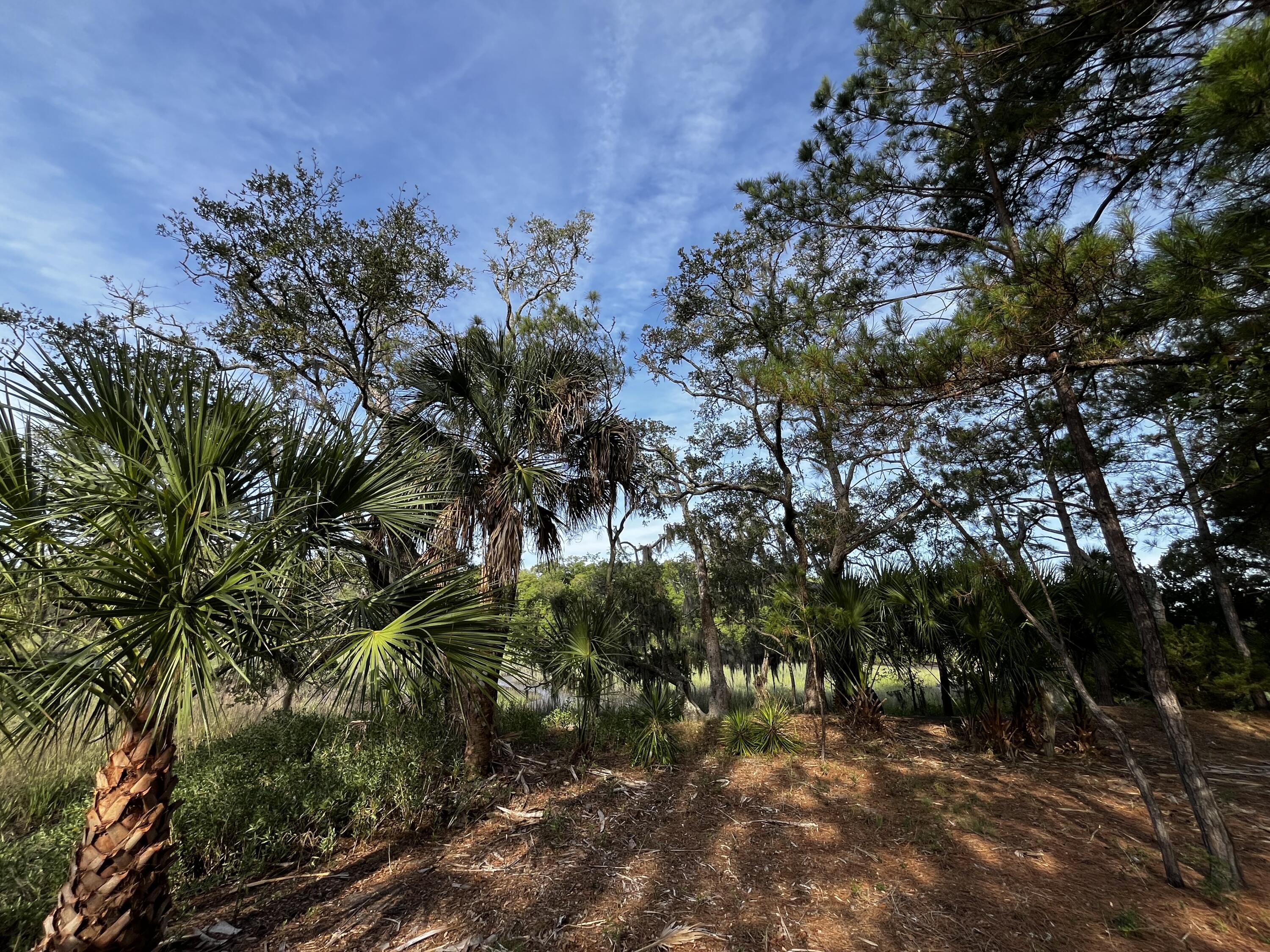 Image 1: 64 Harbor Breeze Drive.MLS image A.6.202