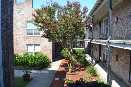 867 Colony Drive