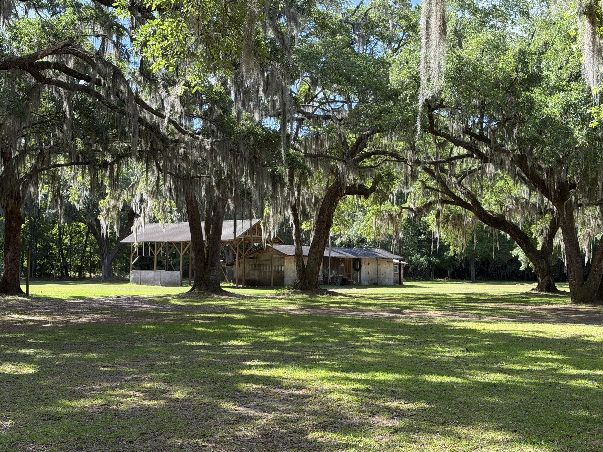 Image 3: IMG_1455