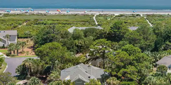 Image 3: 48-web-or-mls-2251 Catesby Bluff-48