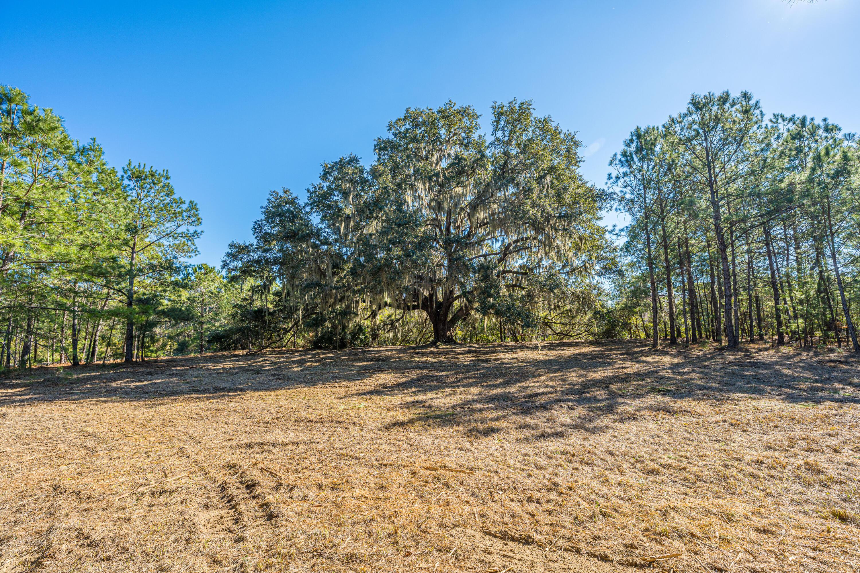 Image 2: 4129GnarledOaksLn_Lot 50_003