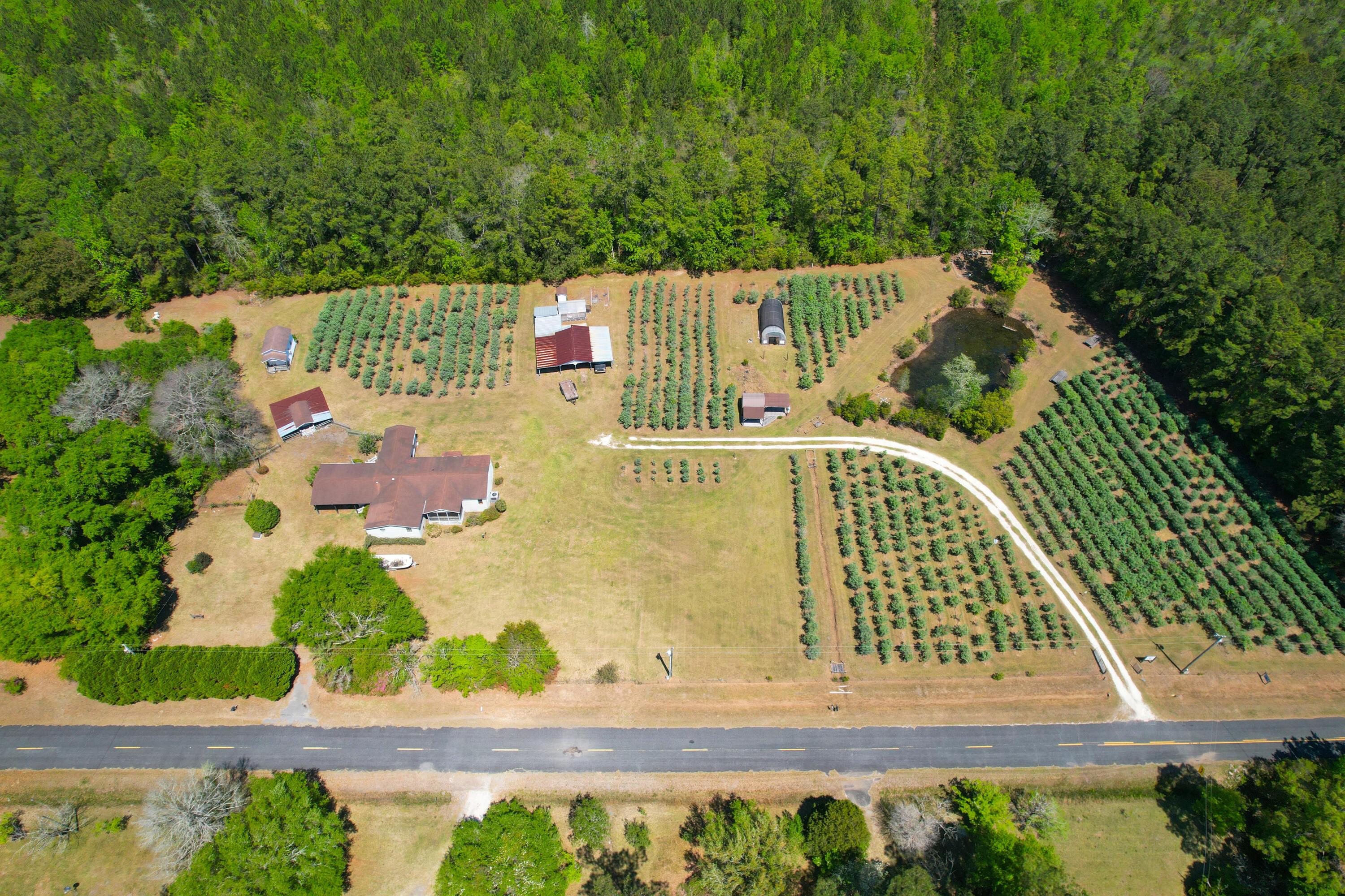 Image 1: Entire property7
