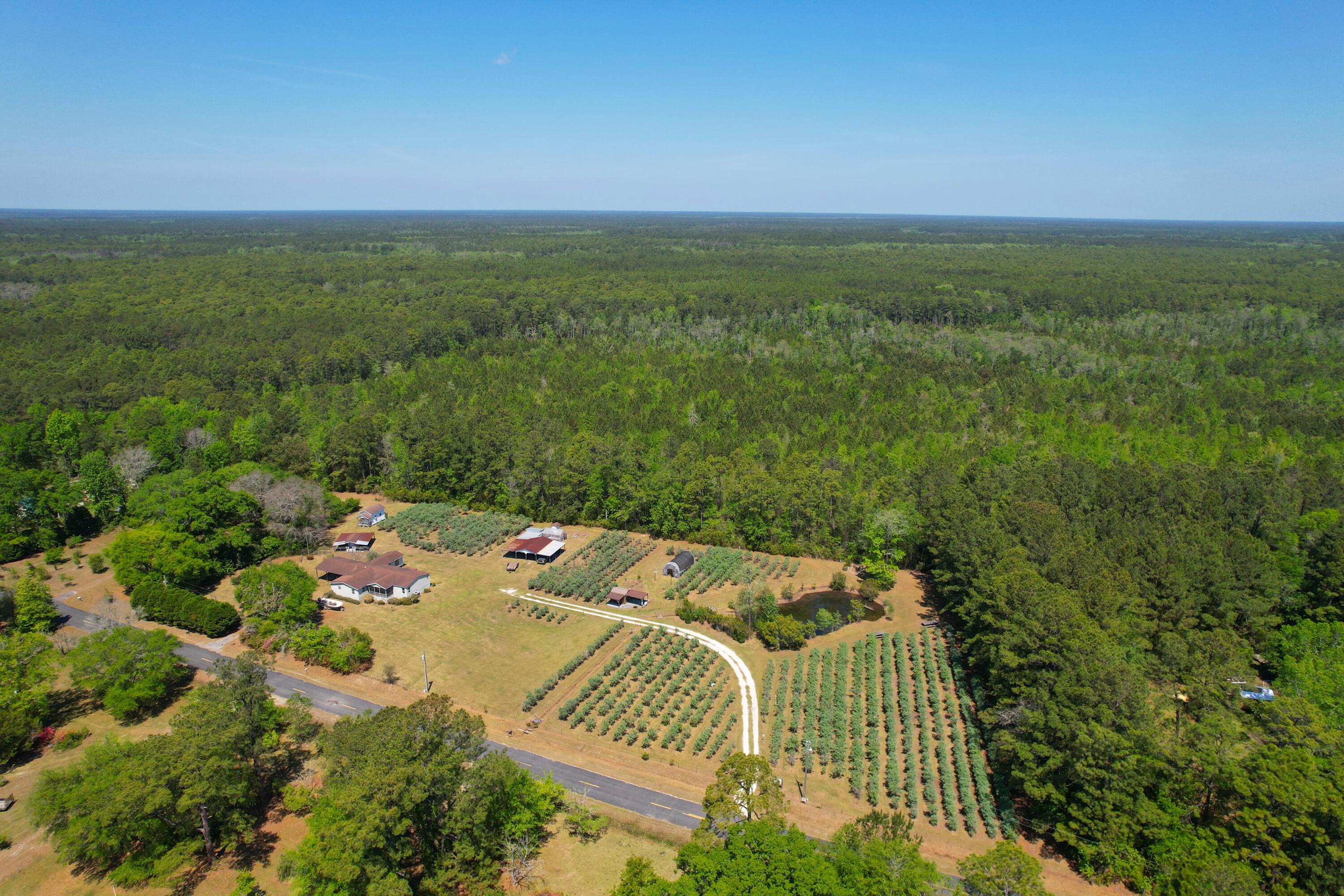 Image 2: Entire property5