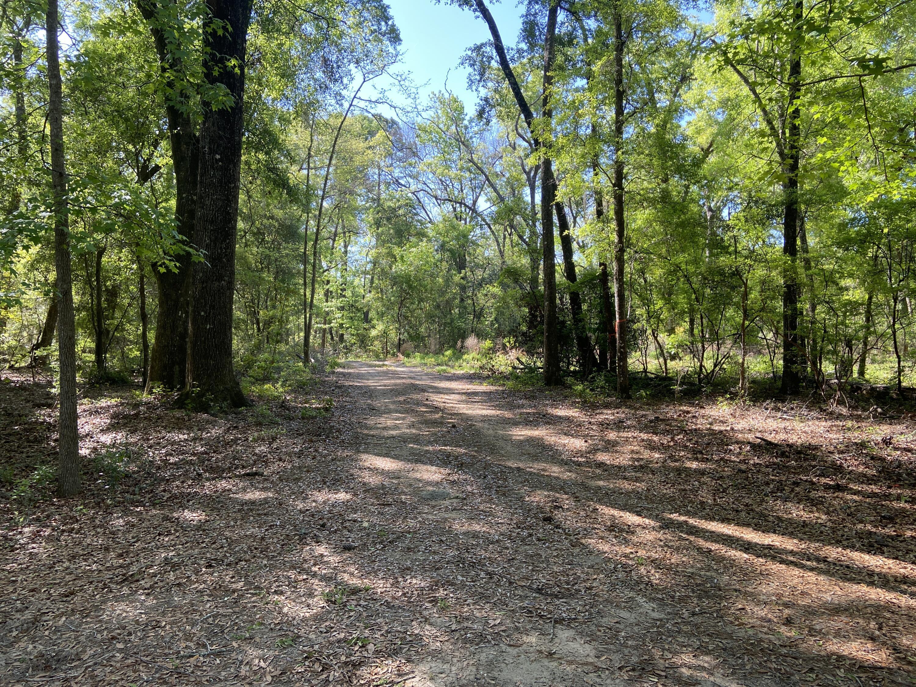 Image 2: 6079 Josie Ridge Rd (22)