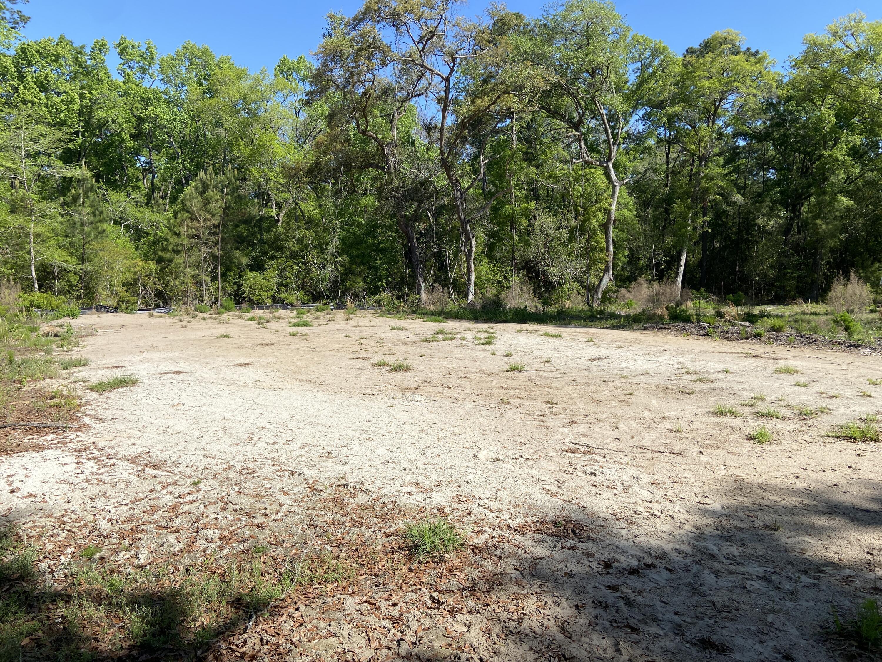 Image 4: 6079 Josie Ridge Rd (34)