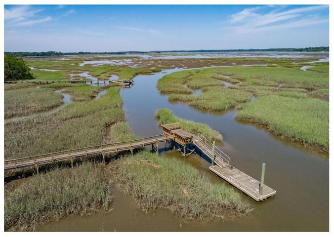 Image 3: Dock polly