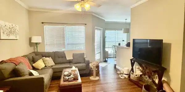 700 Daniel Ellis Drive