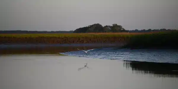 Image 4: 20260511201456357201000000-o