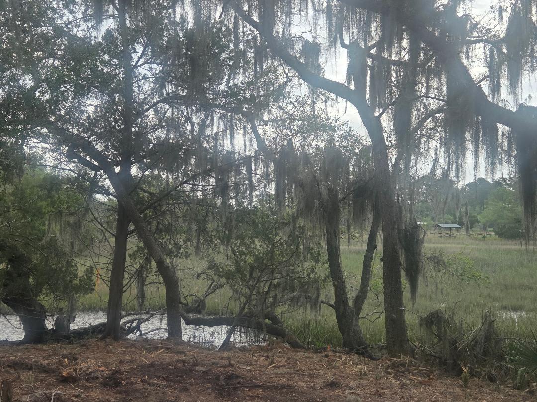 Image 1: Beautiful marsh views
