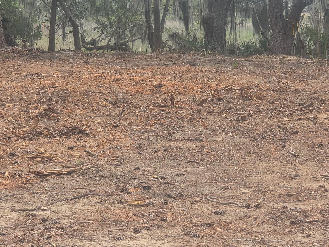 Image 4: Homesite cleared!