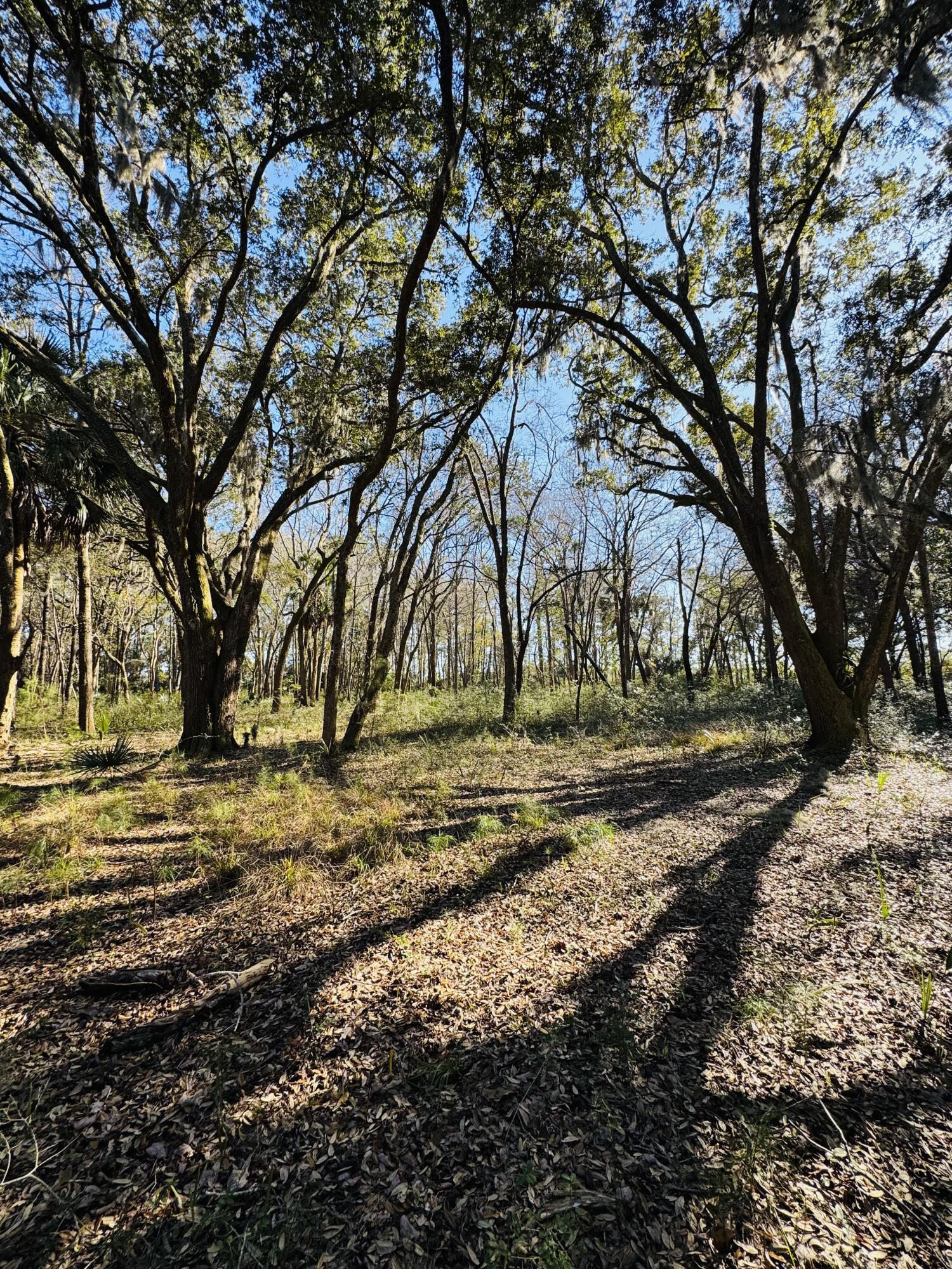 Image 3: IMG_8244