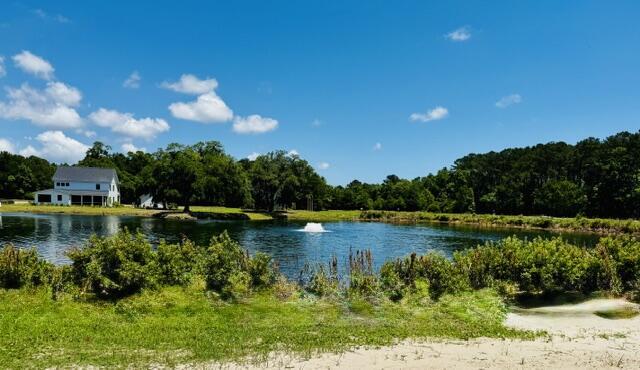 Image 4: View from Backyard