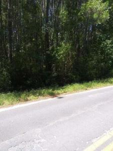 6598 N Highway 17