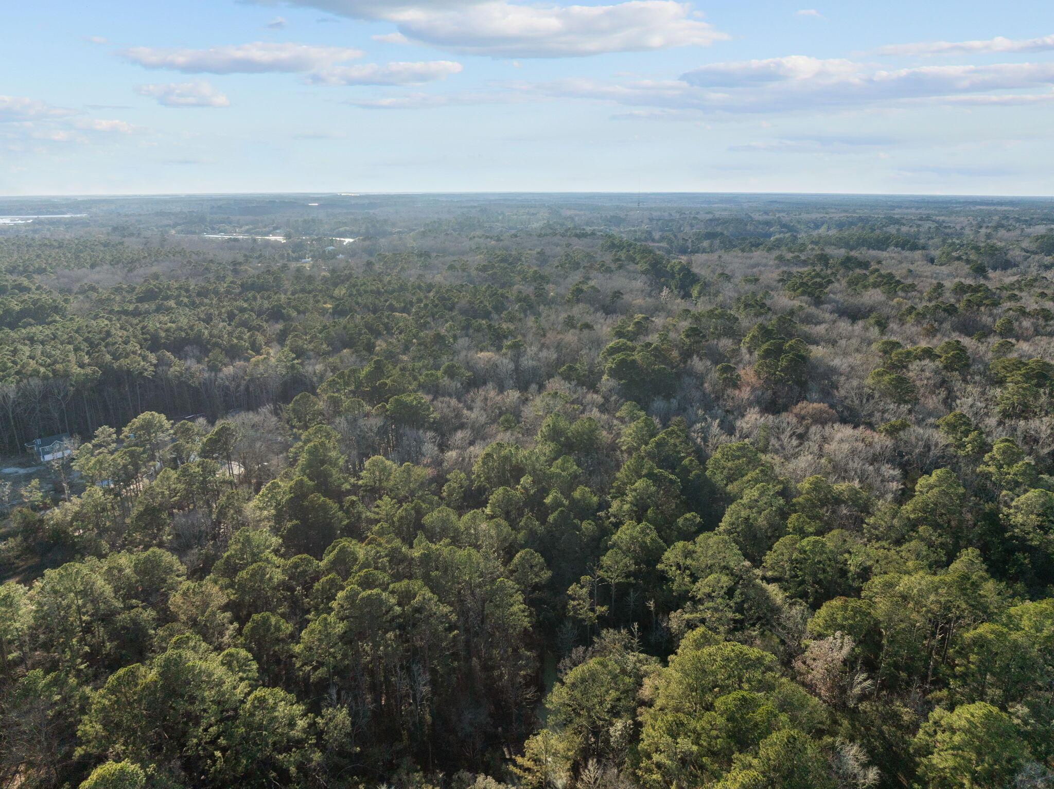 Image 4: 9-web-or-mls-DJI_0045