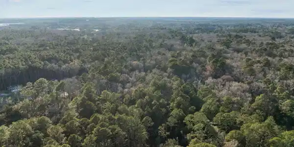 Image 4: 9-web-or-mls-DJI_0045
