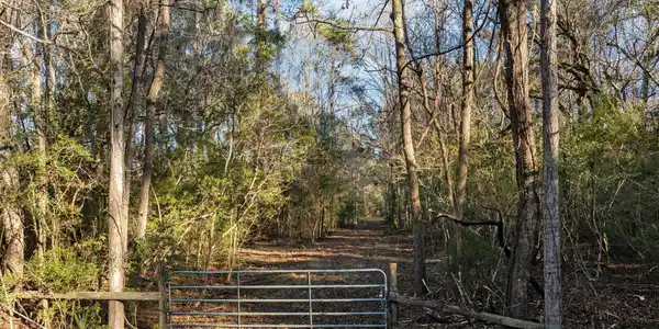 Image 2: 1-web-or-mls-DJI_0031