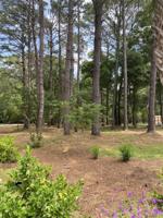 3315 Hopkinson Plantation Road
