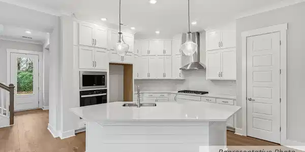 Image 4: Greenbelt kitchen Rep
