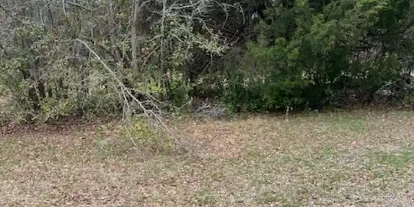 Snowden Road, Mount Pleasant SC 29464