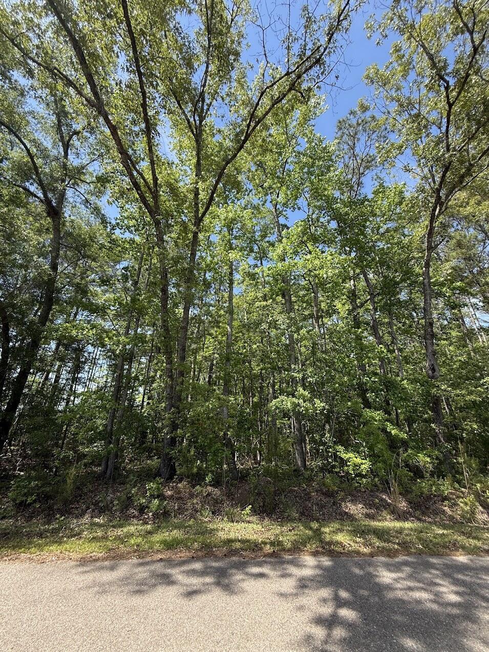 Image 3: IMG_0169