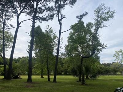 7983 Legare Road, Edisto Island SC 29438