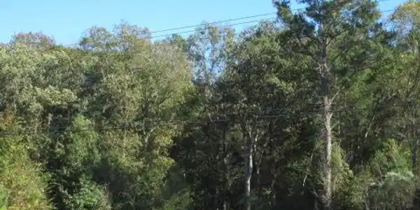 Highway 17-A, Bonneau SC 29431