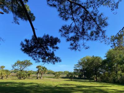 7783 Legare Road, Edisto Island SC 29438