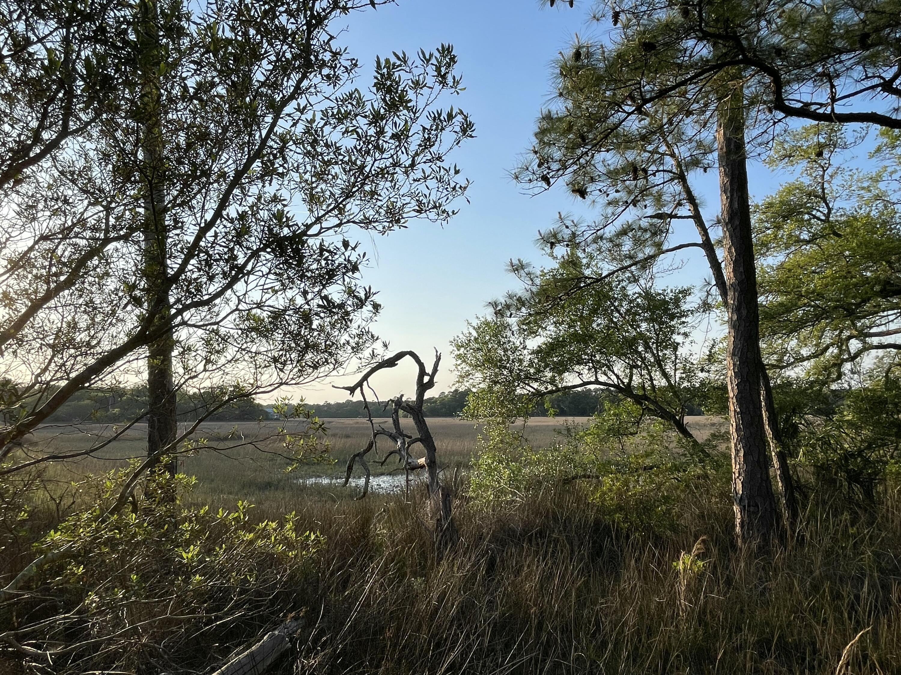 Image 3: IMG_2281