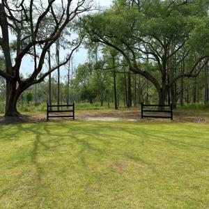 Whooping Island Creek Drive
