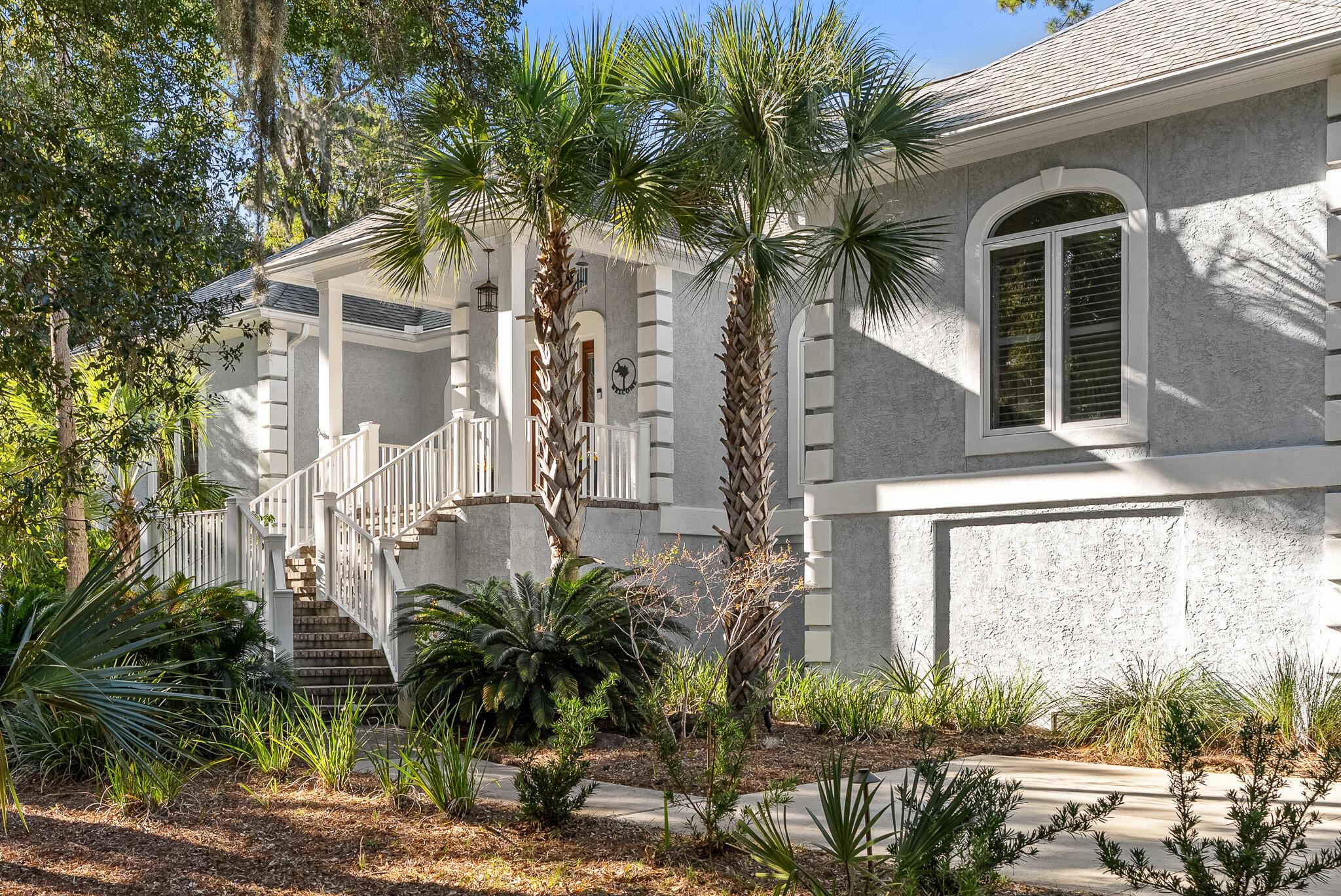 Image 2: Cat Tail_Ext_1