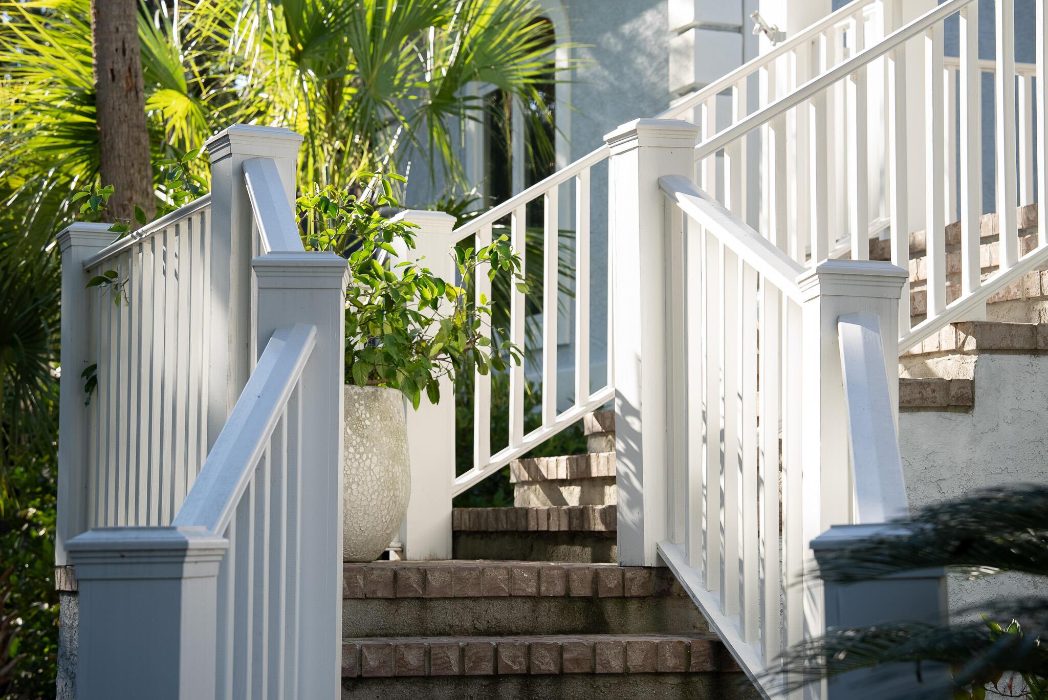 Image 4: Cat Tail_Ext_8