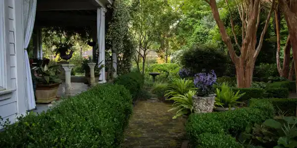 Image 3: Garden