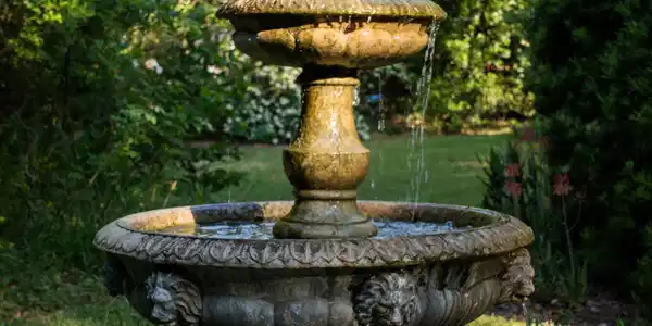 Image 4: Garden