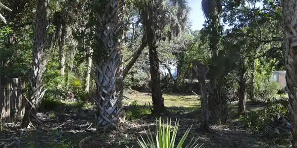 916 E. Ashley Avenue, Folly Beach SC 29439