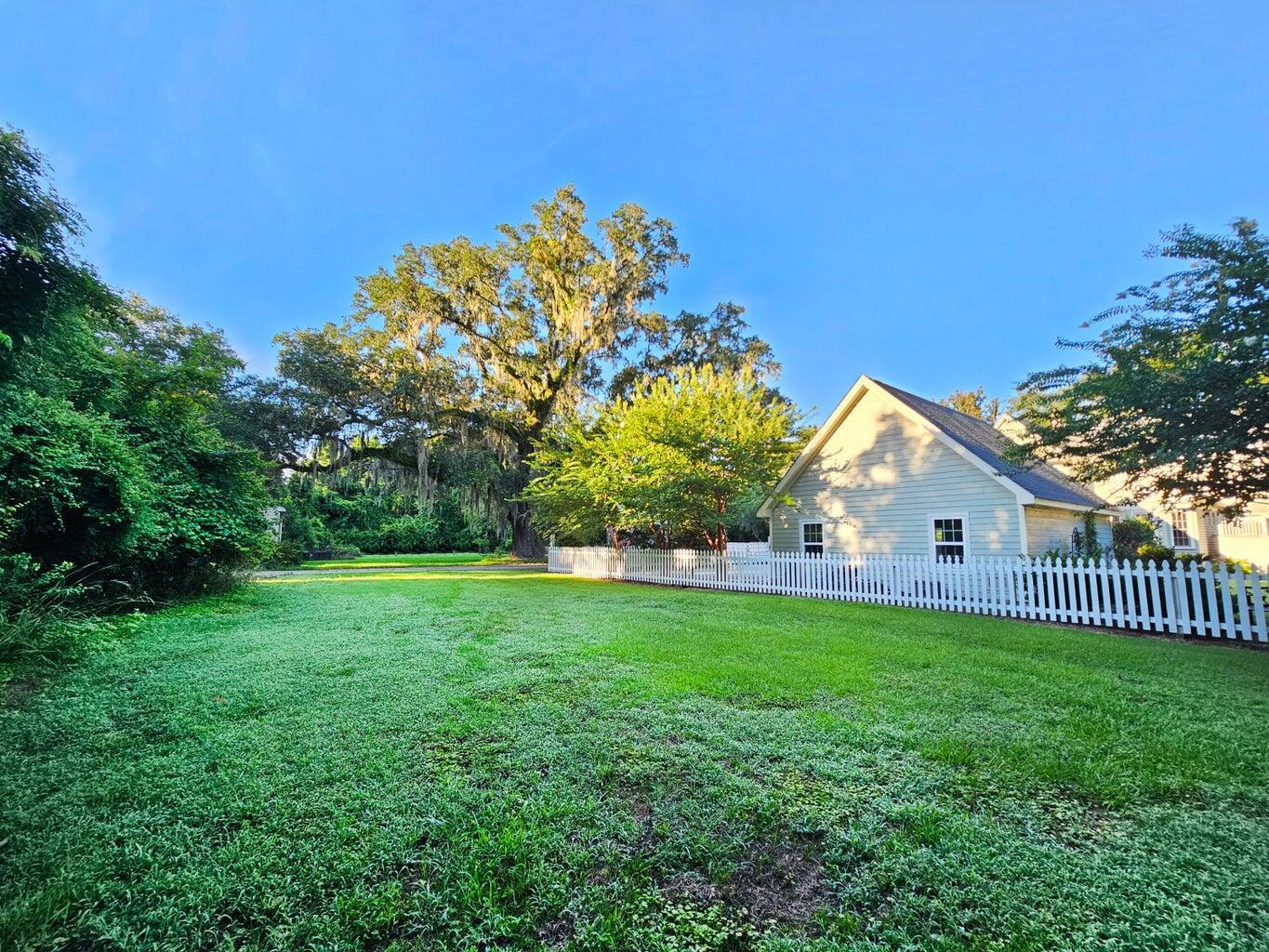 Image 2: 310 Drayton St - .13 acre Lot from back