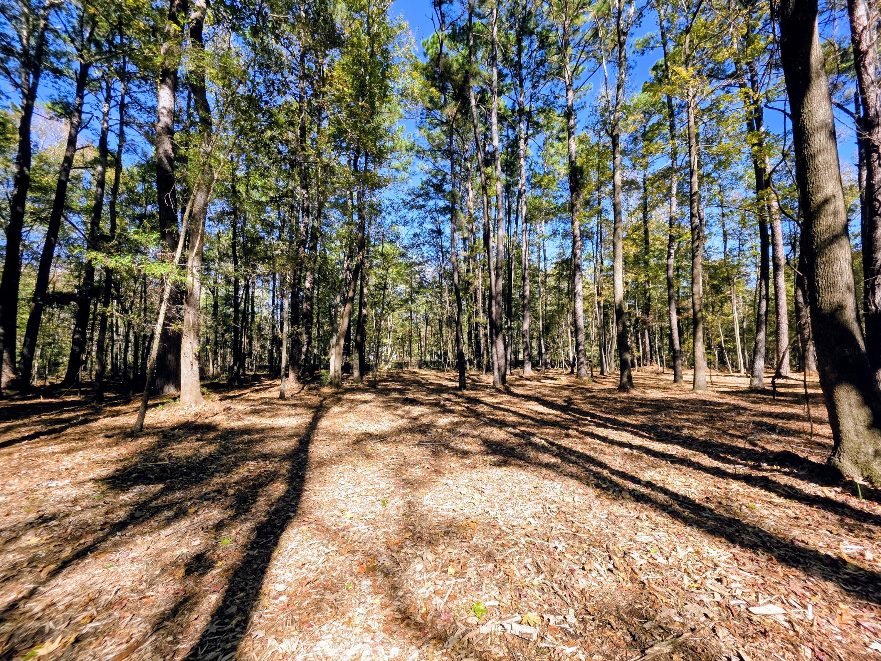 Image 1: Lot is easy to walk