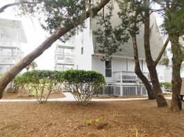 240 Driftwood Lane