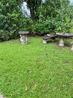 Image 4: IMG_5438