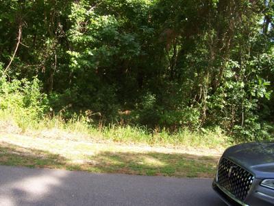 1310 Fifteen Mile Landing Road
